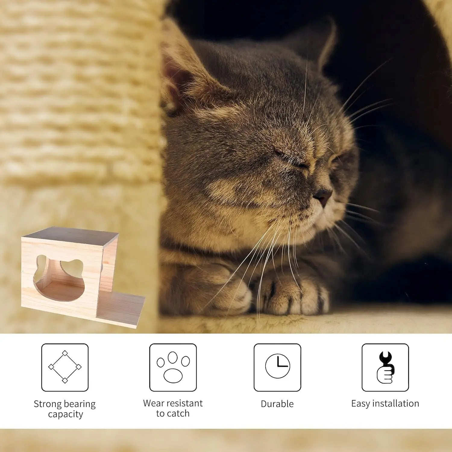 猫墙家具（模块化壁挂攀爬系统）