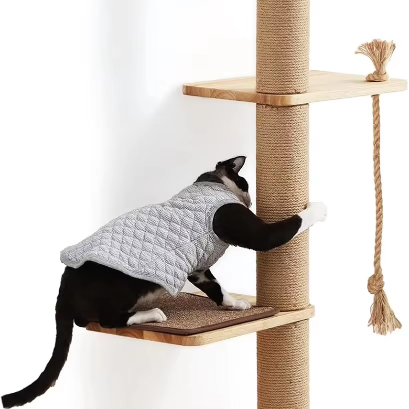 木质猫树（50英寸壁挂橡胶木猫抓床）